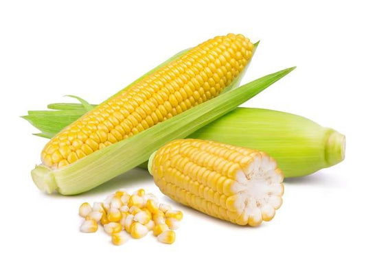 CORN